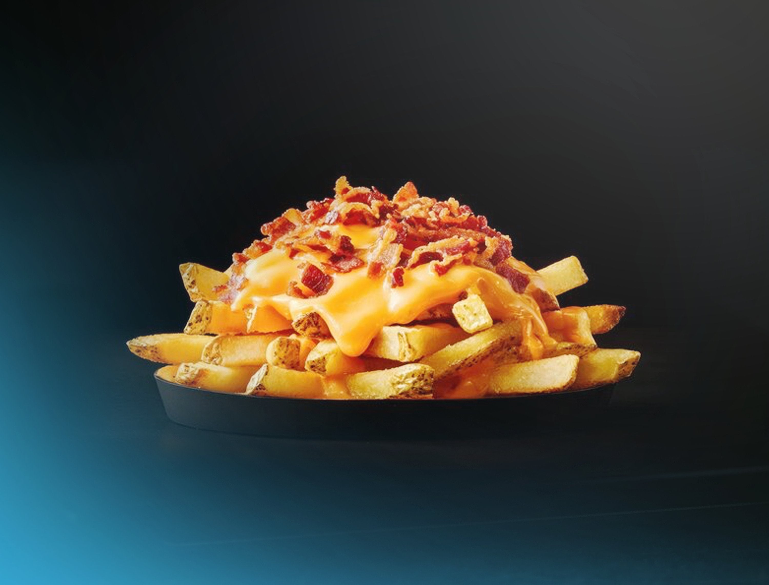 FILTHY FRIES